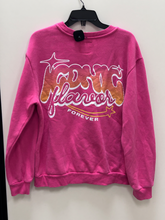 Load image into Gallery viewer, Sweatshirt Size Large
