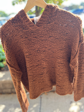 Load image into Gallery viewer, American Eagle Sweater Size Large

