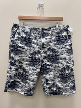 Load image into Gallery viewer, Shorts Size 36

