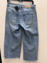Load image into Gallery viewer, Pac Sun Denim Size 0 (24)

