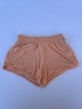 Load image into Gallery viewer, Gilley Hicks Shorts Size Small
