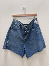Load image into Gallery viewer, Pac Sun Shorts Size 13/14
