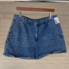 Load image into Gallery viewer, American Eagle Shorts Size 13/14
